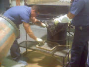1-17-03molds002.jpg